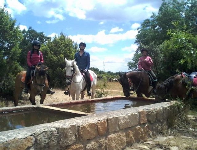 parada en el abrevadero